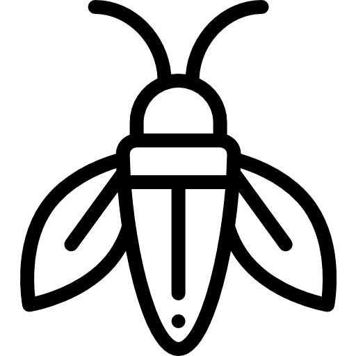 Cicada cicada roaches roach icon