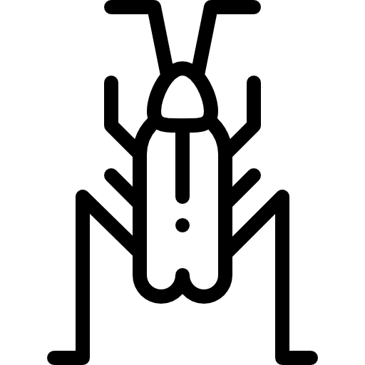 Cricket animal animals cricket icon