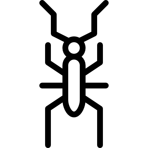 Cricket animals cricket animal kingdom icon