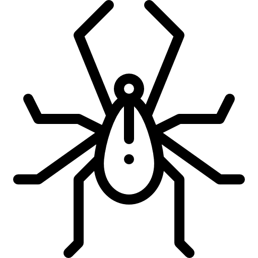 Flea insect flea bug icon