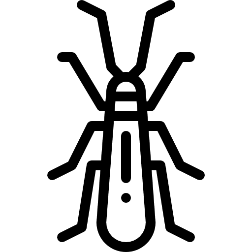 Insect animals entomology bug icon