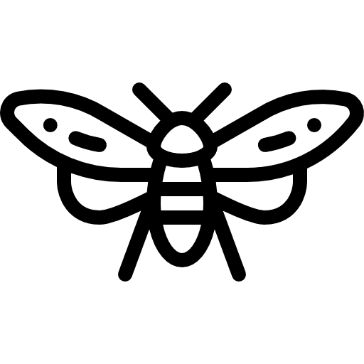 Insect animals entomology insect icon