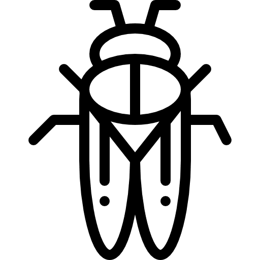 Mite insect animals bug icon