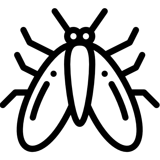 Moth insect entomology moth icon