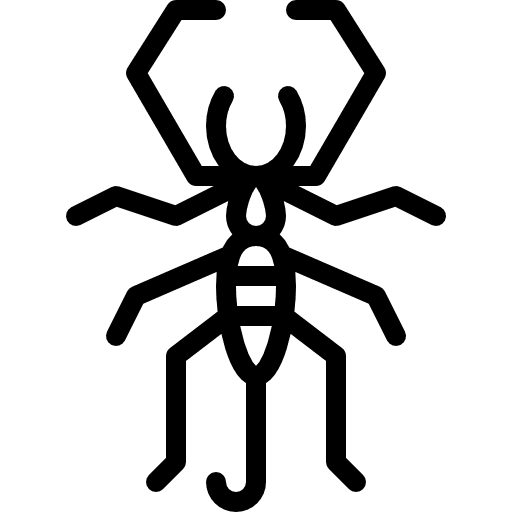 Scorpion sting arachnid venomous icon