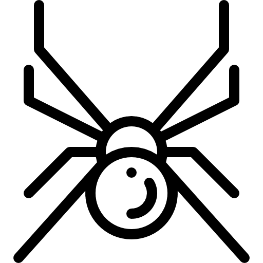 Spider spider insect bug icon