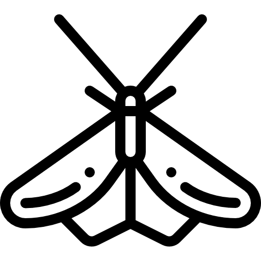 Moth bug entomology animals icon