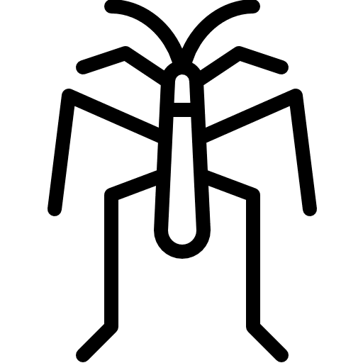 Spider arachnid animals spider icon