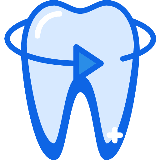 Tooth premolar dental tooth icon