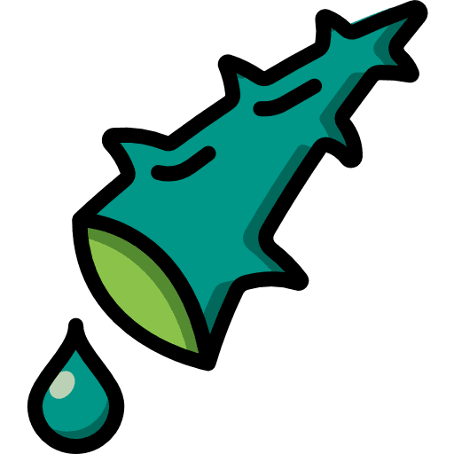 Aloe healthcare and medical aloe medical icon