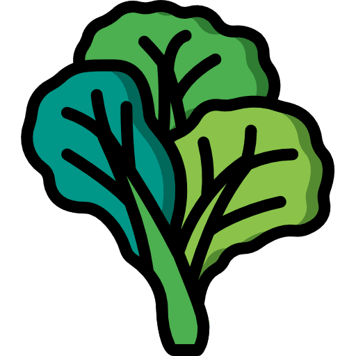 Cabbage greens food vegetable icon