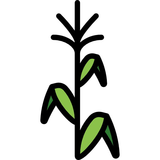 Corn cereal seeds food icon