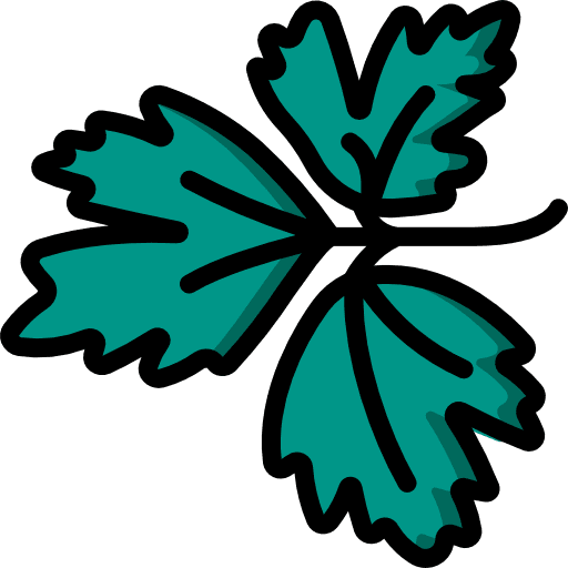 Parsley parsley floral nature icon