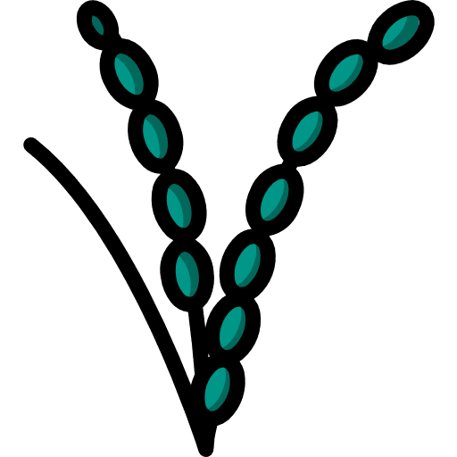 Rice branch cereal rice icon