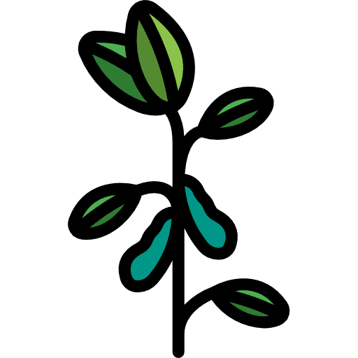 Soybean food grain soybean icon
