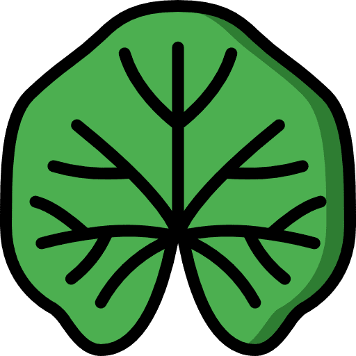Mallow petals botanical plant icon