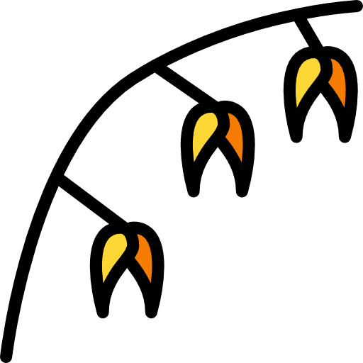 Oat oat plant branch icon