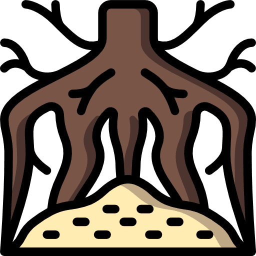 Root natural healthcare and medical dry icon