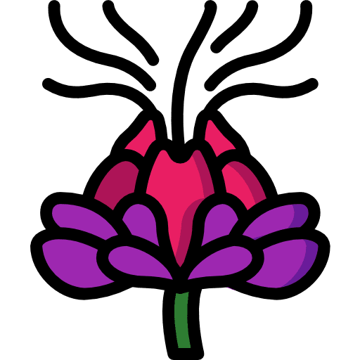 Safflower flower safflower botanical icon