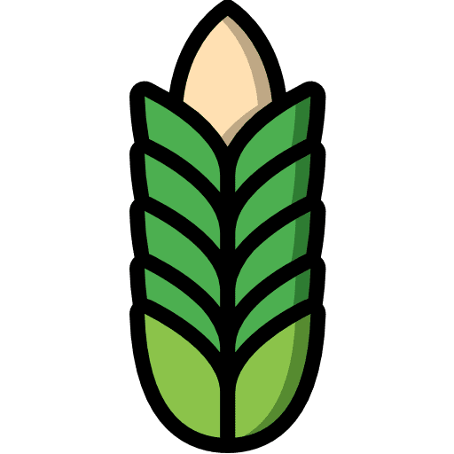 Wheat cereal wheat plant farming and gardening icon
