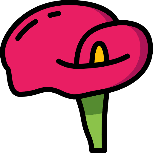 Arum flower petals nature icon