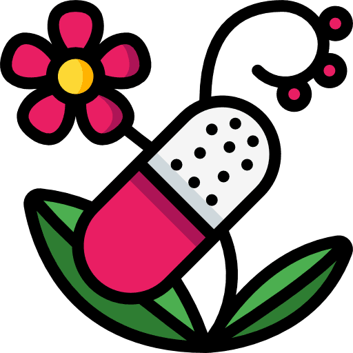 Herbal pills pill wellness icon