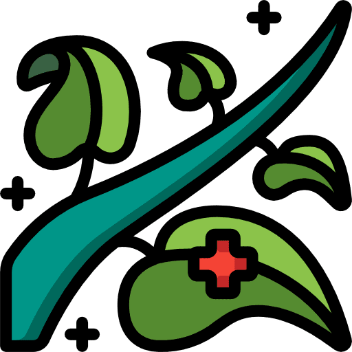 Herbal plants healthcare and medical natural icon