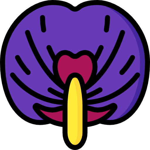 Pea pea flower floral icon