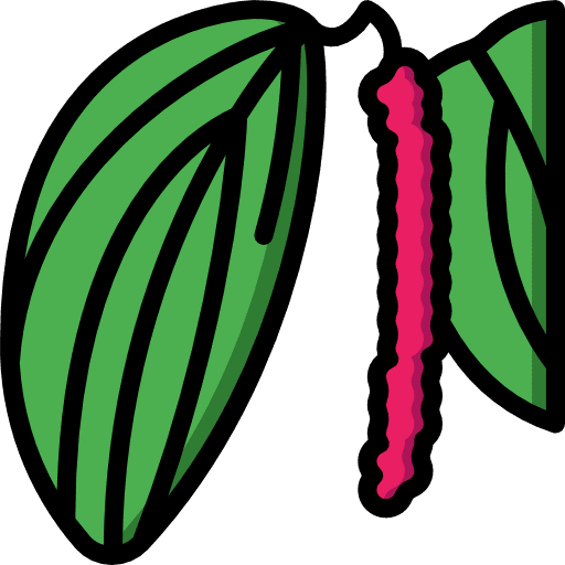 Pepper leaves food plant icon