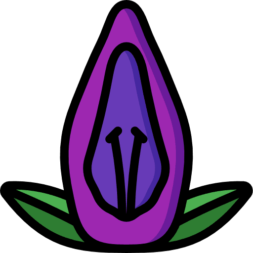Acanthaceae blossom flower plant icon