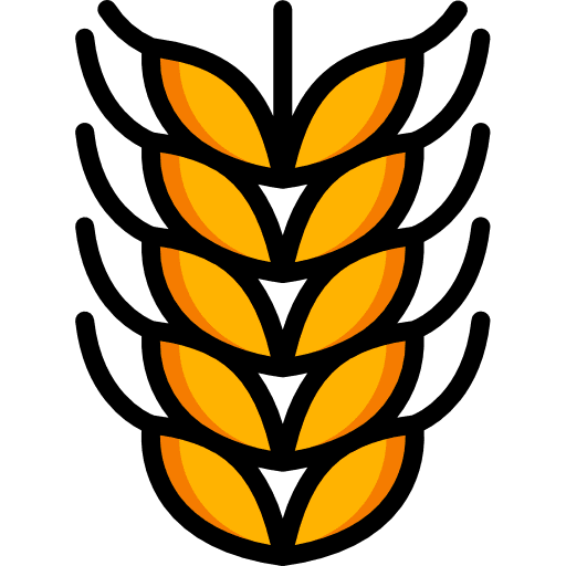 Barley farming and gardening plant seeds icon
