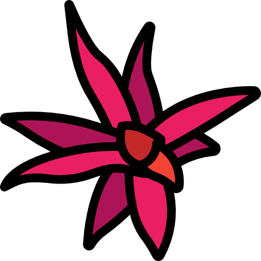 Bromeliaceae leaves plant farming and gardening icon