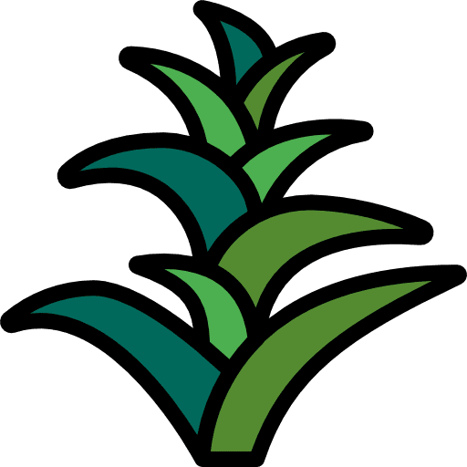 Bromeliaceae nature petals leaves icon
