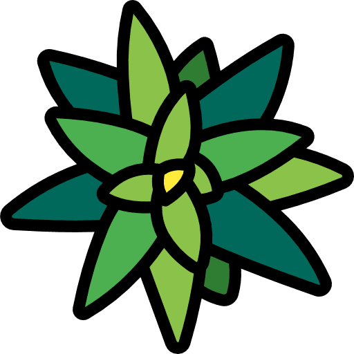 Bromeliaceae petals leaves farming and gardening icon