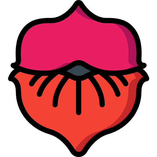 Flower nature floral botanical icon