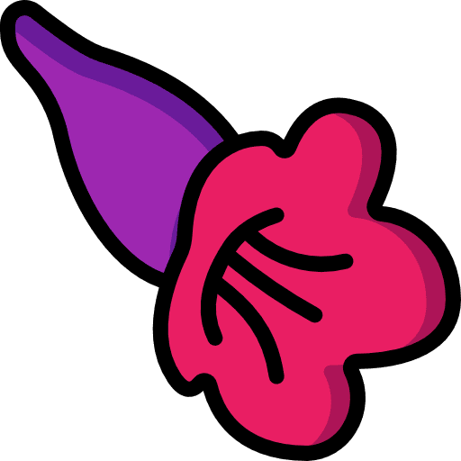 Gesneriad gesneriad floral plant icon