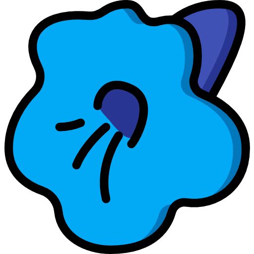 Gesneriad plant floral petals icon
