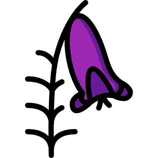 Heath floral petals heath icon