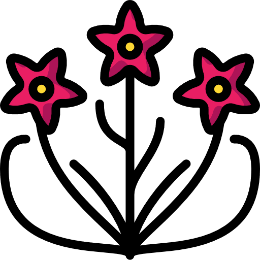 Madder floral blossom flower icon