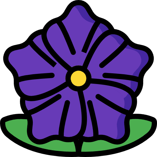 Melastome plant petals blossom icon