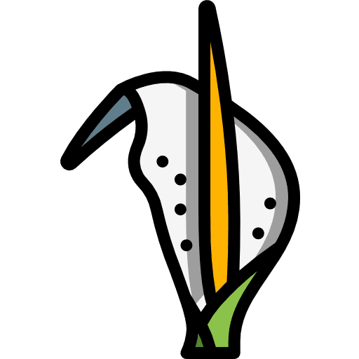 Arum farming and gardening botanical flower icon