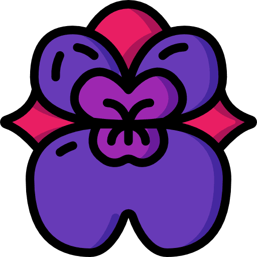 Orchidaceae nature orchidaceae blossom icon