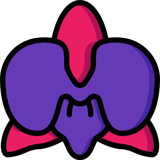 Orchidaceae petals flower farming and gardening icon