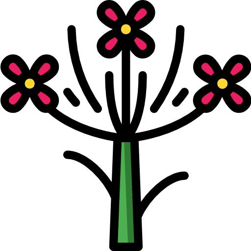 Parsley flower blossom botanical icon