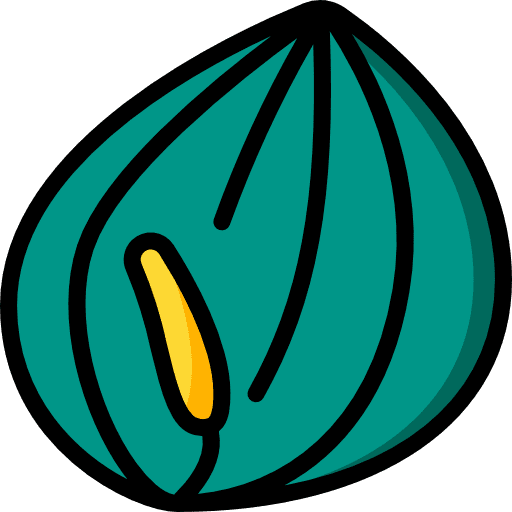 Pepper nature organic botanical icon