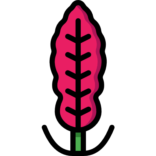 Pepper plant petal blossom icon