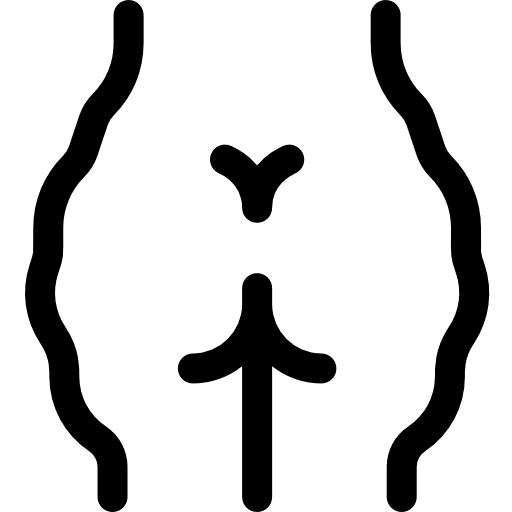 Cellulitis healthcare and medical aesthetic cellulitis icon