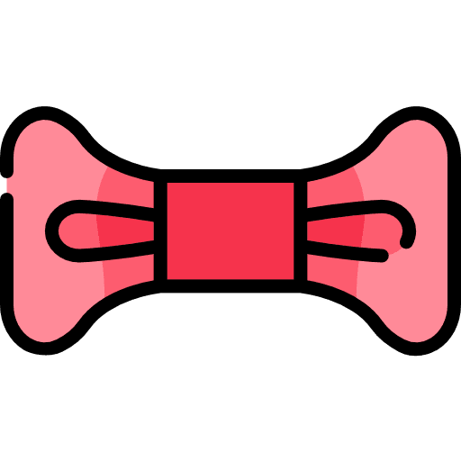 Bow clothes fashion bow icon