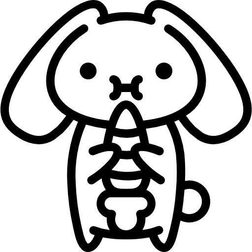 Bunny wildlife bunny easter bunny icon