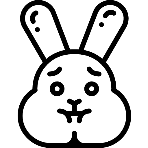 Bunny bunny easter bunny rabbit icon